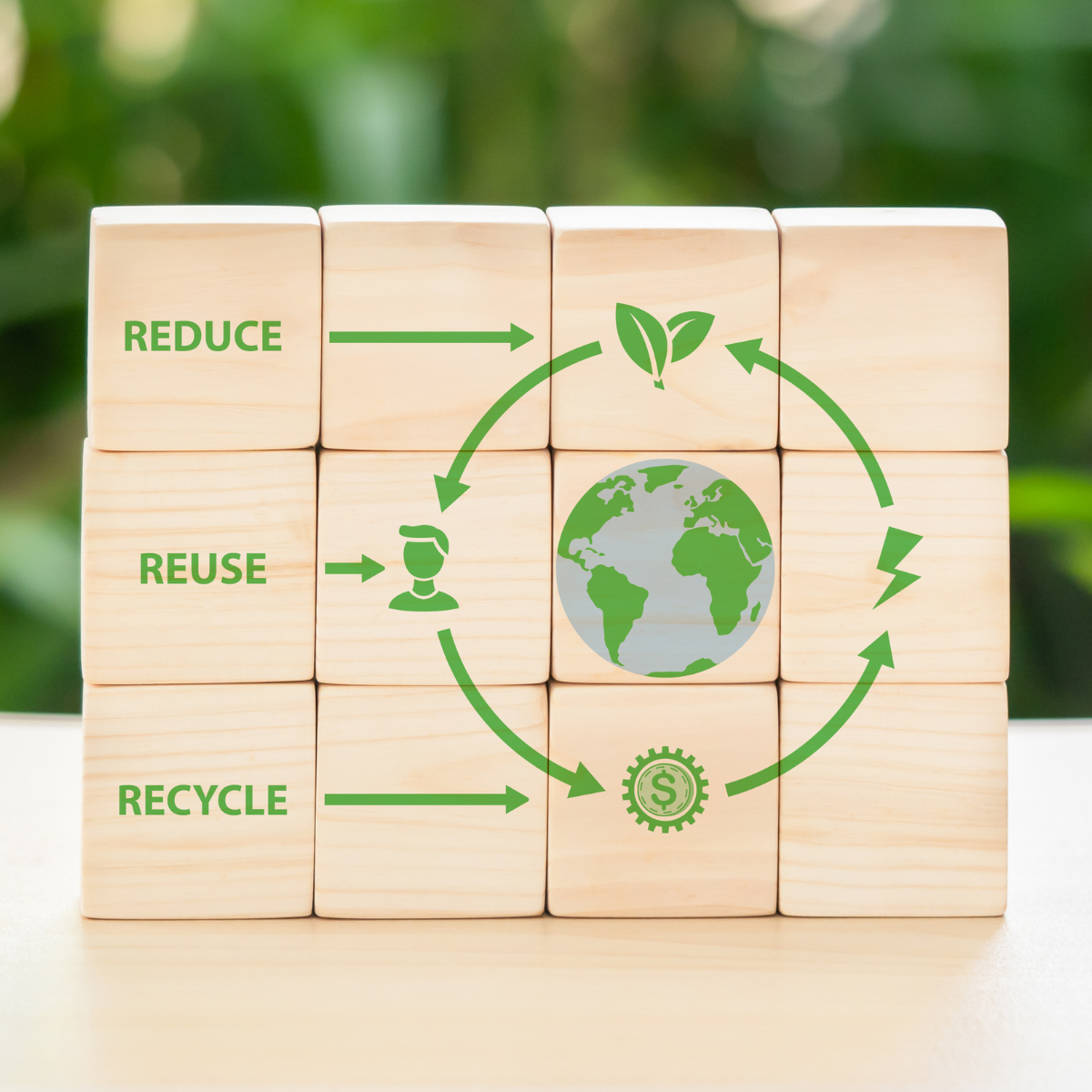 Circular Economy Action Plan 2024: New Path to Sustainability